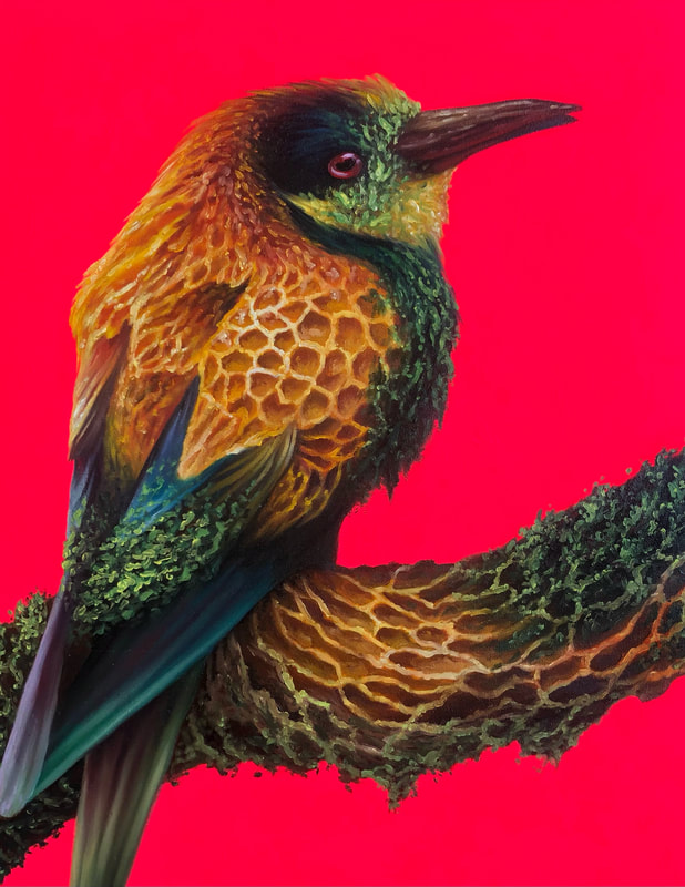 Avian Oddities, oil painting, Diana Ormanzhi