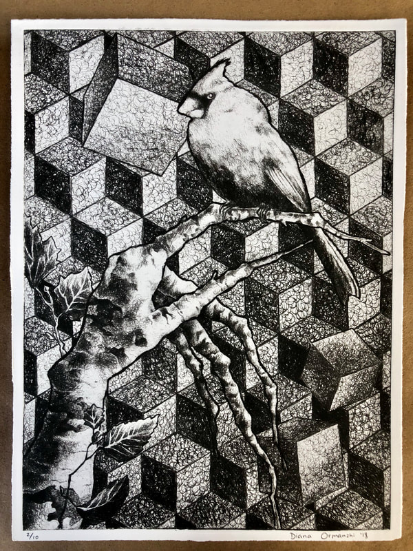 Cardinal, Drypoint Etching, Diana Ormanzhi